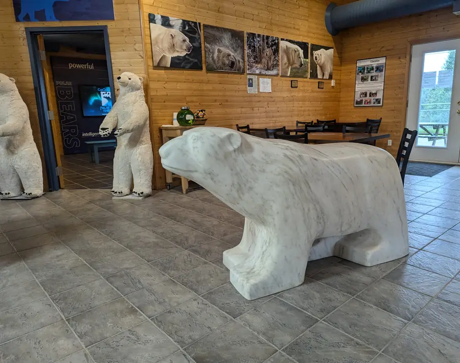 Polar bear sculptures and framed polar bear photographs in the Polar Bear Habitat lobby, with a marble bear in the foreground.
